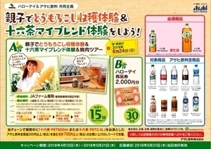 親子でとうもろこし収穫体験&十六茶マイブレンド体験をしよう!