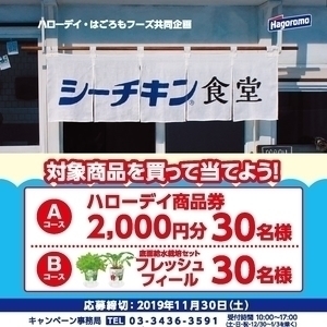 ハローデイ&はごろもフーズ 共同企画 シーチキン食堂 キャンペーン!