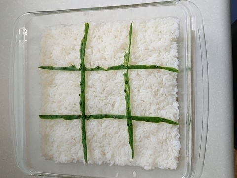 ちらさない寿司