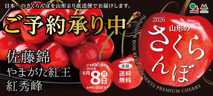 2026 山形のさくらんぼ