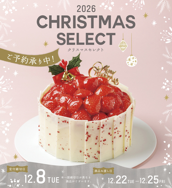 ハローデイのクリスマス セレクト