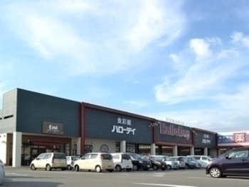 綾羅木店