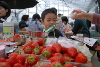 2/6 明治製菓・明治乳業 バレンタイン親子料理教室を開催しました