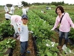 「親子で大豆を育てよう!!」 枝豆収穫体験