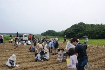 大塚製薬様共同企画　家族で大豆を育てよう!!　“種植え編”