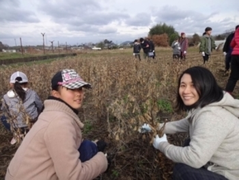 丸美屋様　工場見学＆豆腐作りと大豆収穫体験