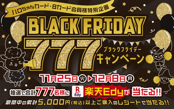 ブラックフライデーキャンペーン